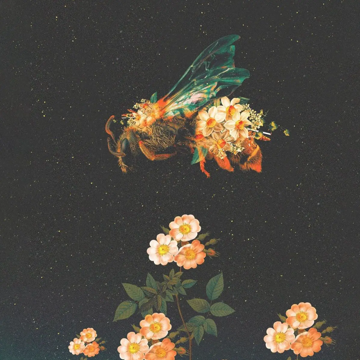 illustrations/2d